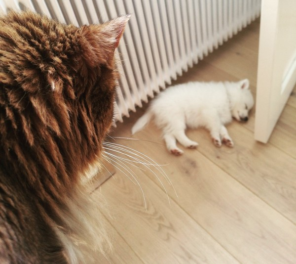 (사진출처=pixabay)