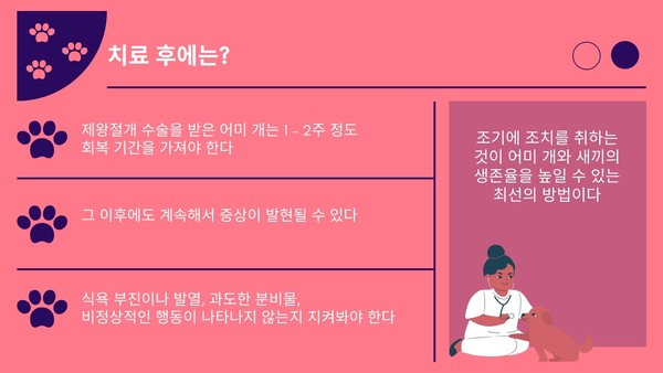 출산 예정일 앞뒀다면 반려견 ‘난산’ 체크해야…유독 취약한 품종은?