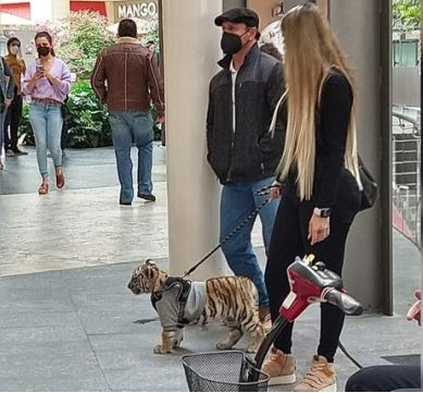 (사진출처=트위터 / 멕시코 매체 '밀레니오')