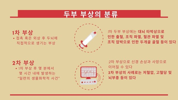 반려견의 외상성 두부 부상, 징후와 치료법은?