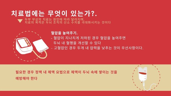 반려견의 외상성 두부 부상, 징후와 치료법은?