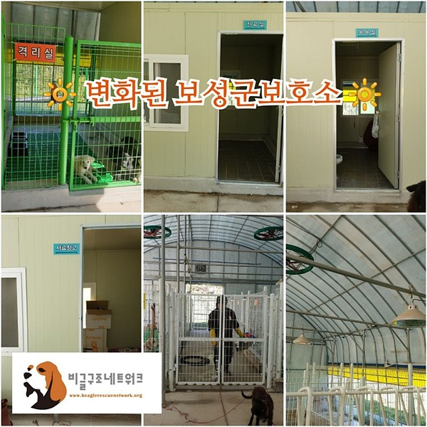 ▲ 새롭게 탈바꿈 한 보성군 유기견보호소 [사진출처= 비글구조네트워크 공식 블로그]