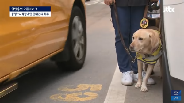 (사진출처=유튜브 채널 JTBC News)