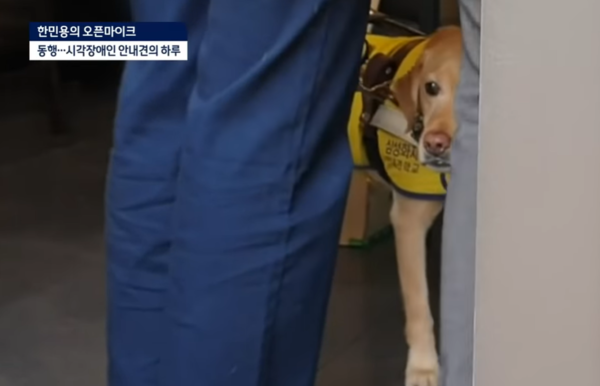 (사진출처=유튜브 채널 JTBC News)