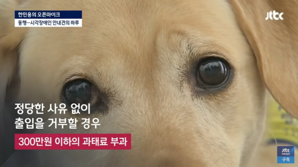 (사진출처=유튜브 채널 JTBC News)