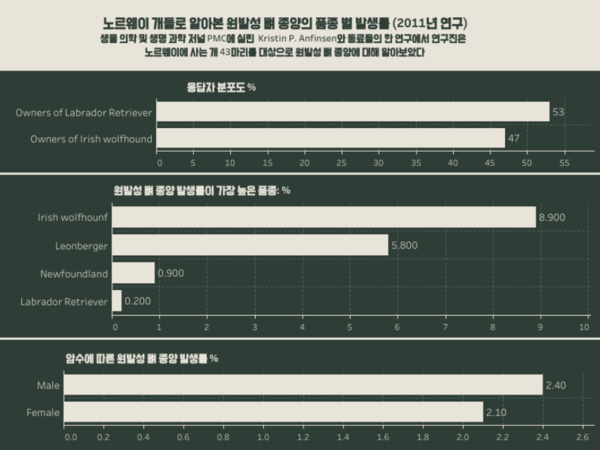 반려견에게 발생하는 뼈 종양 95%가 골육종
