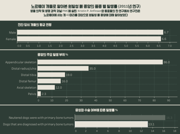 반려견에게 발생하는 뼈 종양 95%가 골육종