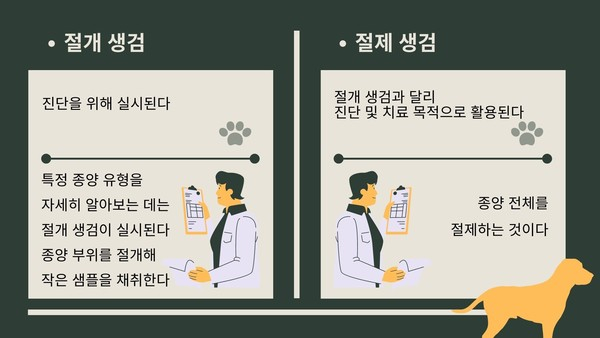반려견에게 발생하는 뼈 종양 95%가 골육종