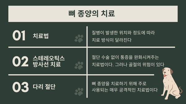 반려견에게 발생하는 뼈 종양 95%가 골육종