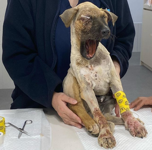 (사진출처=@youumbba 인스타그램)