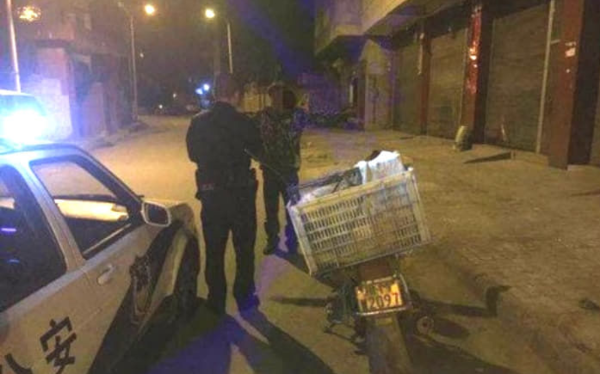 (사진출처=网易新闻)