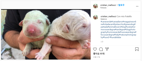 (사진=크리스티안 말로치 SNS 캡처)