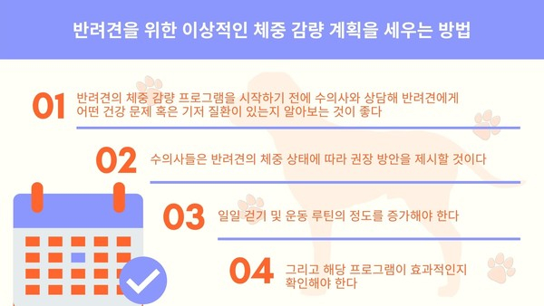 반려견도 다이어트 성공하기 힘들다?