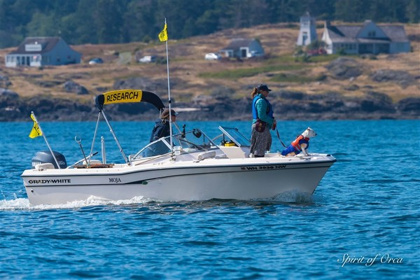 (사진=Dr. Deborah Giles / Courtesy of UW/Center for Conservation Biology 제공)