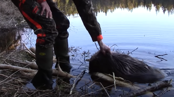 (사진출처=Youtube)