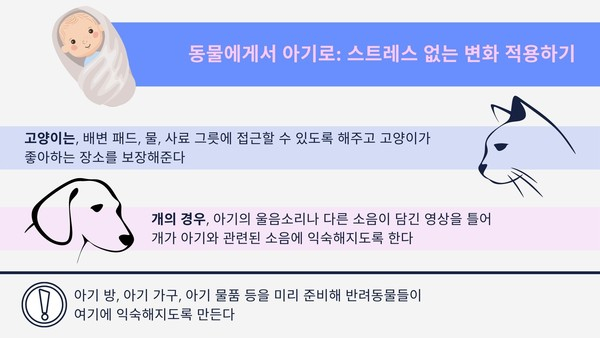 반려동물 키우던 가정에 아기가 태어난다면?