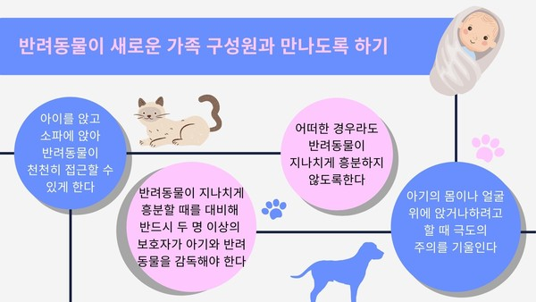 반려동물 키우던 가정에 아기가 태어난다면?
