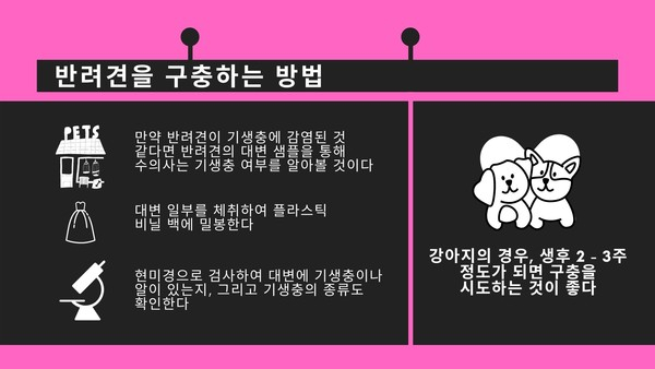 실내에만 있어도 구충제 필수! 반려동물 구충제 먹이는 시기