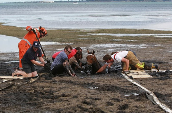 (사진출처=Newspix / Rex Features)