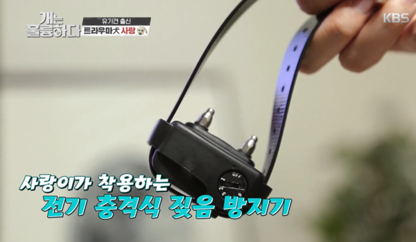 (사진출처=KBS Entertain 공식 유튜브)