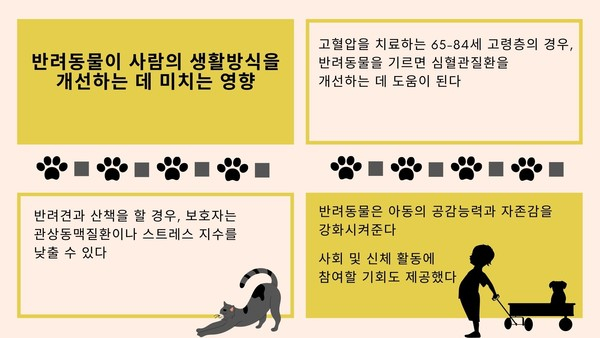 반려동물과 함께할수록 스트레스는 뚝↓ 자존감은 높아져