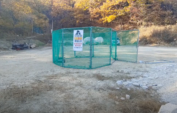 (사진출처='동물구조 119' 공식 유튜브 채널)