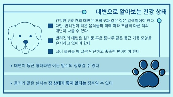 반려견 대변으로 건강 체크할 수 있을까?