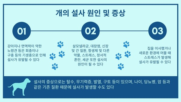 반려견 대변으로 건강 체크할 수 있을까?