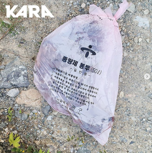 ▲ 황구 사체가 담겨있던 종량제 봉투 (사진출처=@animal_kara 인스타그램)