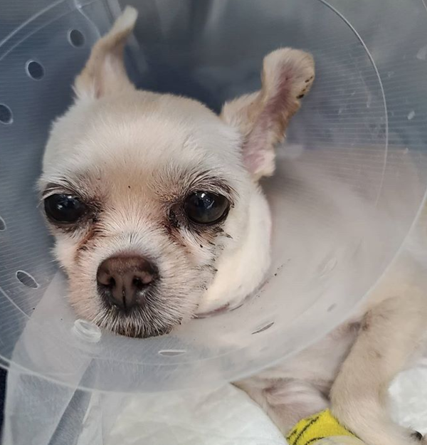 (사진출처=@dlaalrud78231 인스타그램)