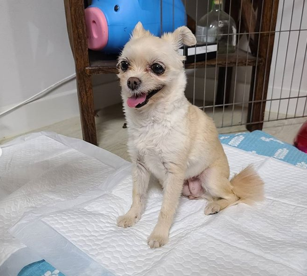 (사진출처=@dlaalrud78231 인스타그램)