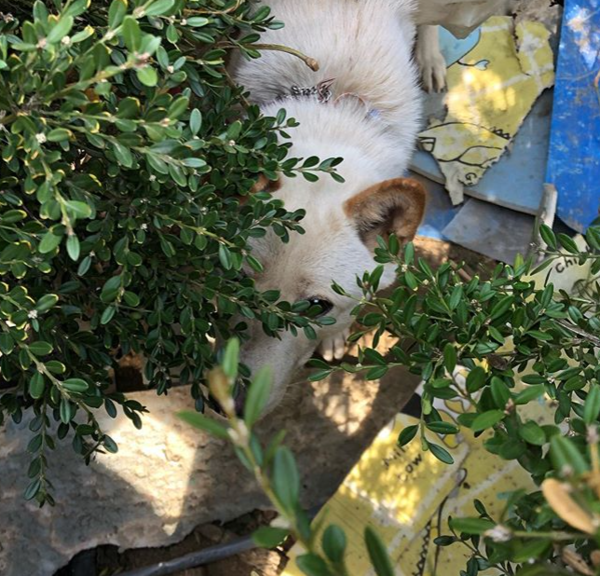 (사진출처=@beauty_zzu 인스타그램)