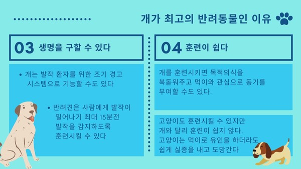 반려견, 최고의 친구이자 가족인 이유