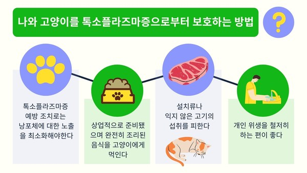 임신중에 고양이 화장실 청소해도 될까? 톡소플라즈마증 예방법