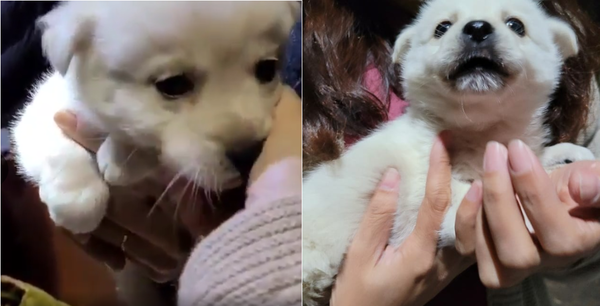 (사진출처=@dong.i1004 인스타그램)