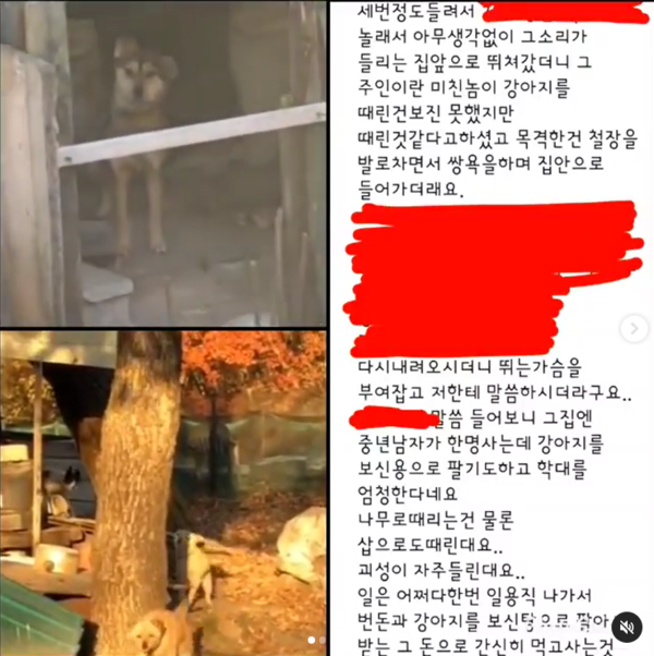 (사진출처=@challenginghaha)