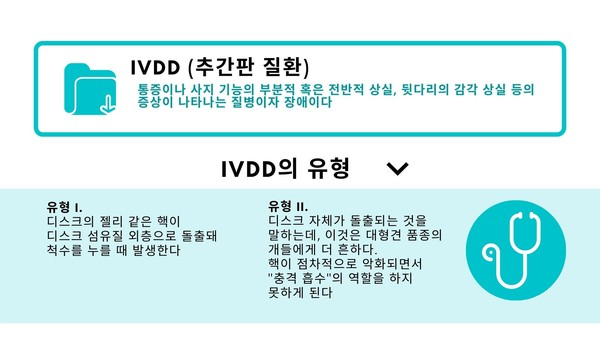 반려견이 걸리는 디스크 ‘추간판 질환’ 대형견도 취약하다