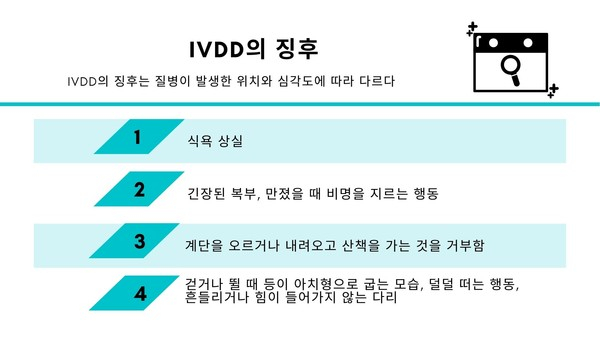 반려견이 걸리는 디스크 ‘추간판 질환’ 대형견도 취약하다