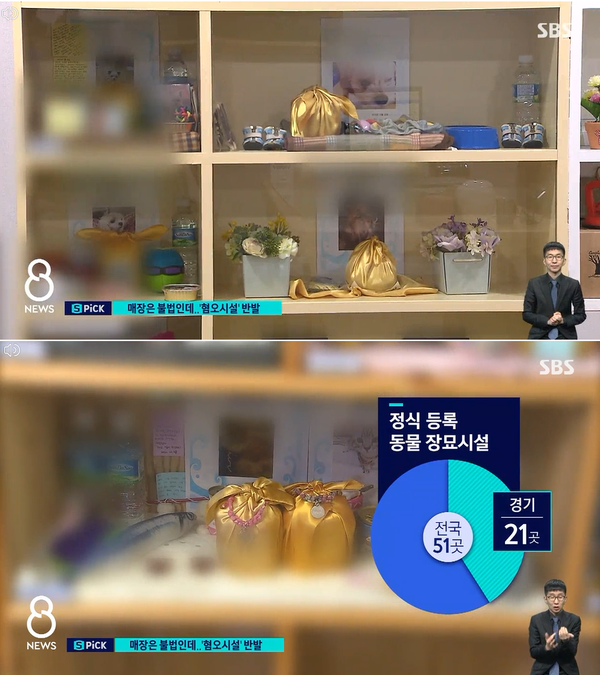 (사진출처=SBS '8뉴스')