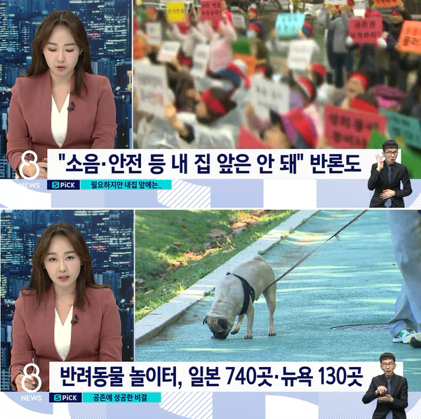 (사진출처=SBS '8뉴스')