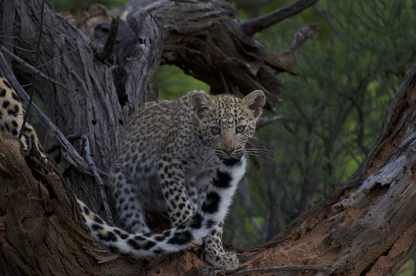 (사진출처=pixabay)