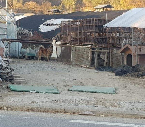 (사진출처=@forever_ppomi 인스타그램)