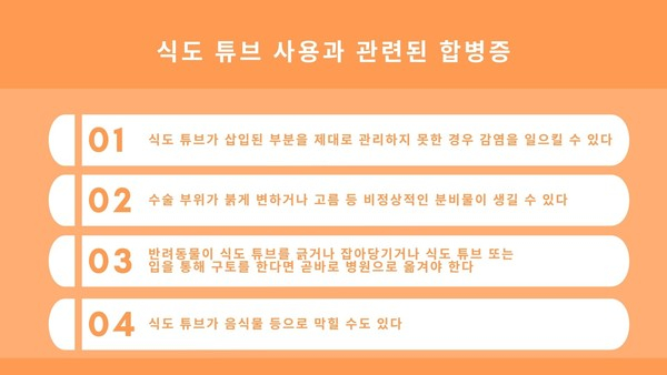식도 튜브 삽입한 개‧고양이 44% 합병증 경험