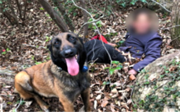 ▲ 2019년 4월 경 전남 해남 야산서 실종자 발견한 인명구조견 '장고' (사진출처=소방청)