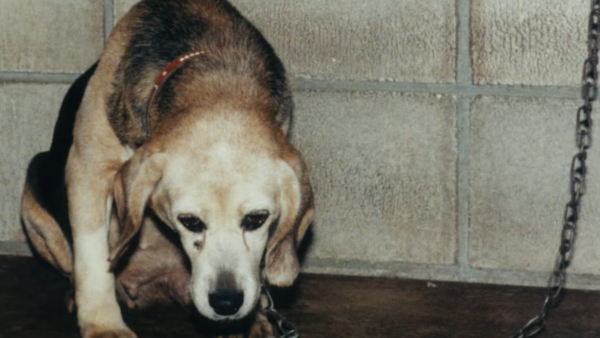 (사진출처=YouTube)