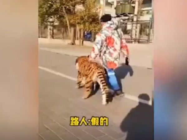 (사진출처=Douyin 'zybrmt')