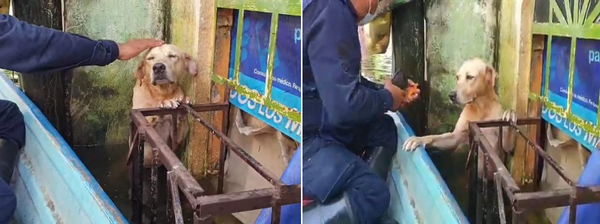 (사진출처=@SEMAR México 트위터)