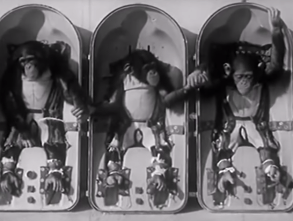 (출처=Mr Scientific 유튜브 캡처)