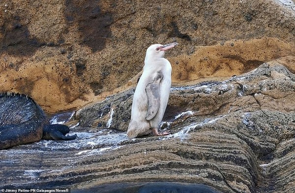 (사진=Galápagos National Park 페이스북)