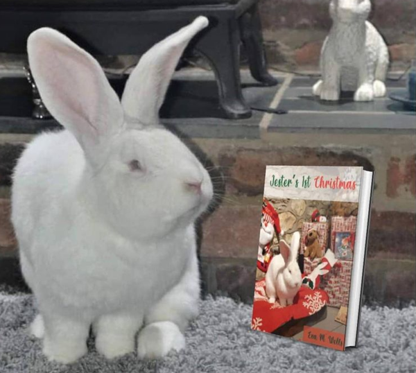 고양이 아니었어? 본인 침실까지 있는 냥이 같은 토끼